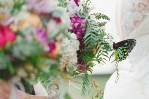 butterfly wedding