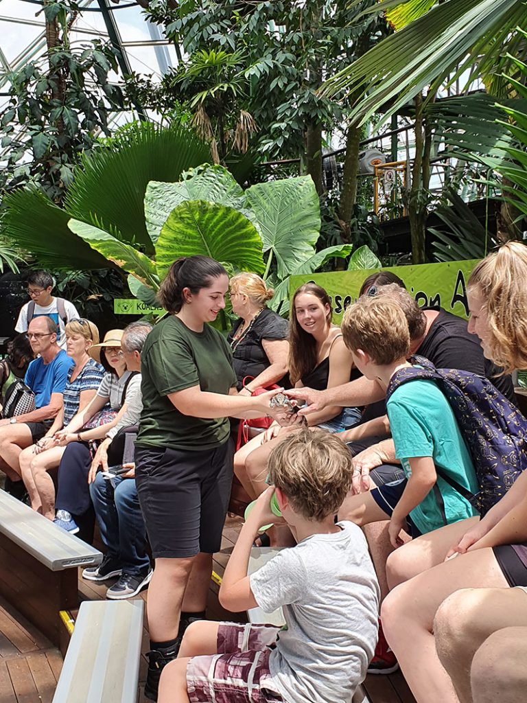 cairns zoom and wildlife dome volunteers reptile show