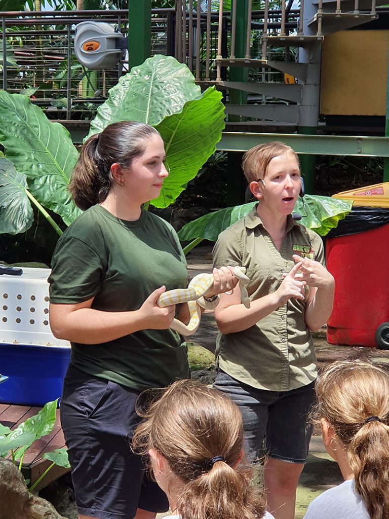 snake presentation with volunteers at cairns zoom and wildlife dome