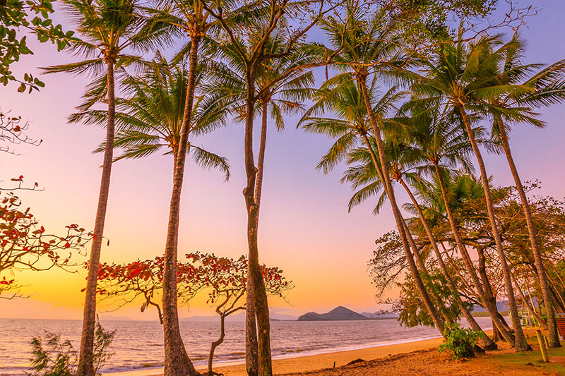 romantic activities in cairns for couples sunset palm cove