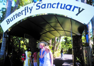 Australian Butterfly Sanctuary entrance