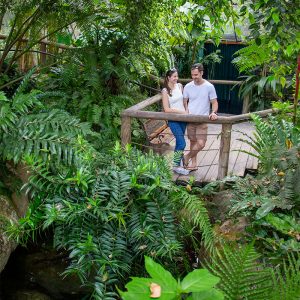 romantic activities in cairns for couples